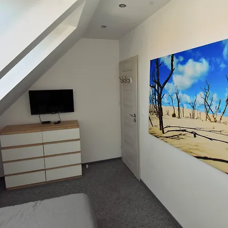 Homestay Polanki 17 *