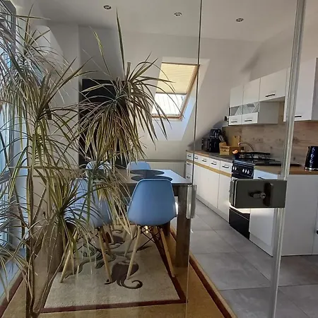 民宿 Klimatyzowany Apartament Polanki 17 Z Jacuzzi Ogrodowym Na Wylacznosc